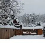 Chamonix Petit Cocooning Chalet Servoz