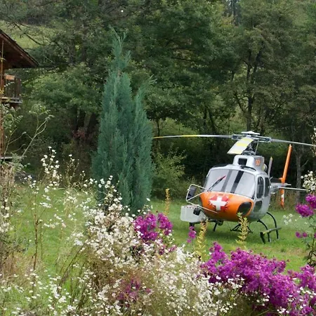 Chamonix Petit Cocooning Chalet Servoz